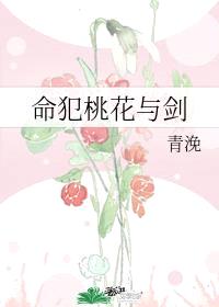 命犯桃花与剑