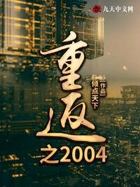 重返2004之倾点天下txt下载